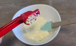 yogurt greco e aglio tritato