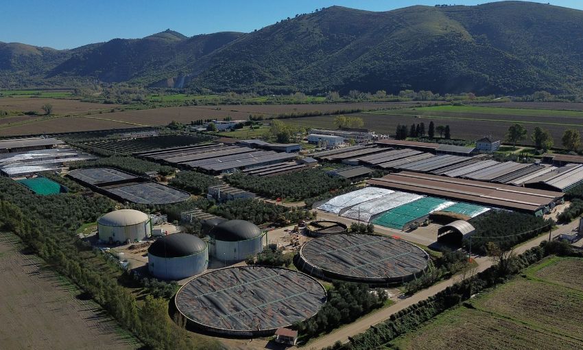 Cirio Agricola