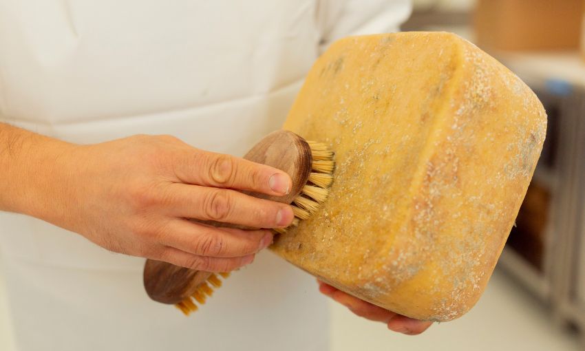 formaggio