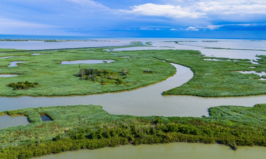 salinizzazione del delta del po