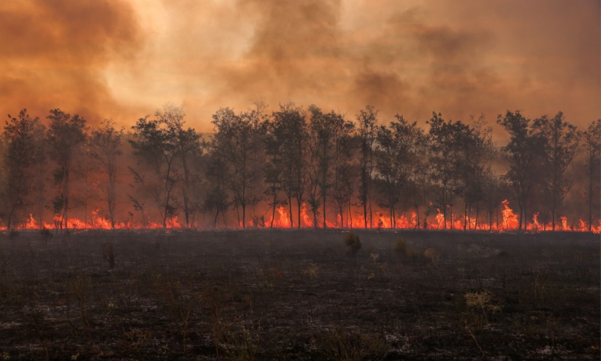 incendio boschivo