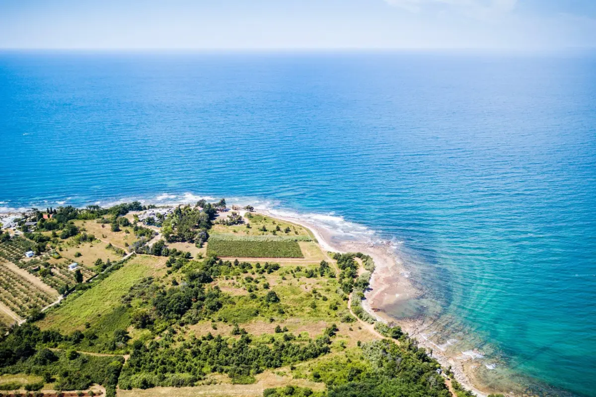 salinità in agricoltura