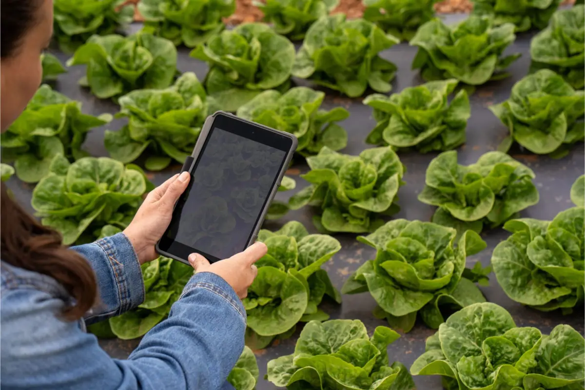 agricoltura con tablet