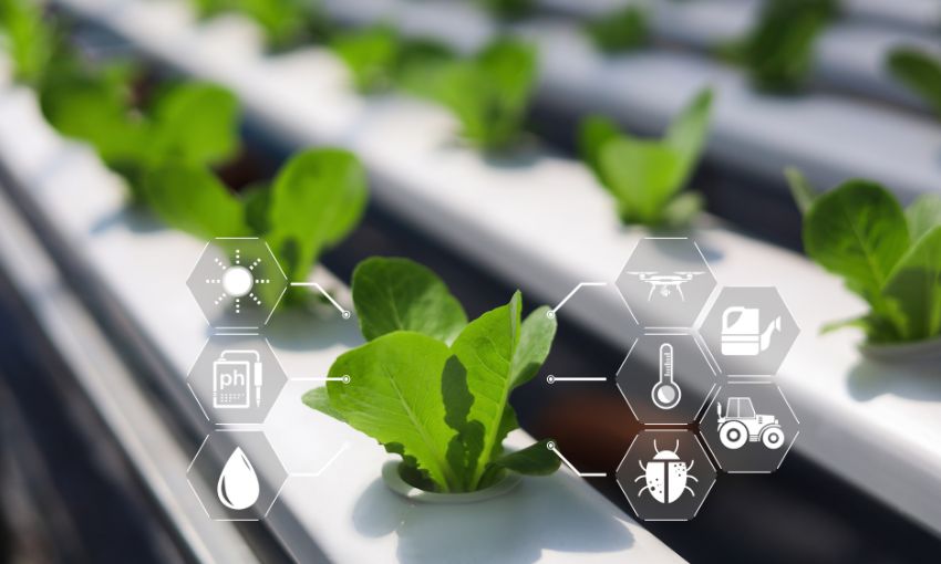 tecnologia in agricoltura