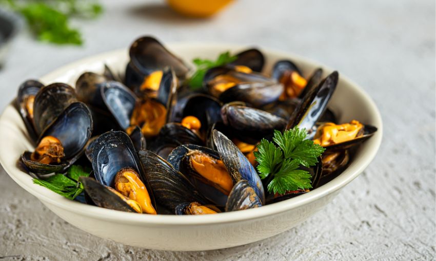 cozze