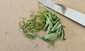 erbe aromatiche