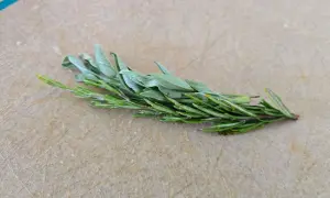 salvia e rosmarino