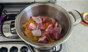 rosolatura carne