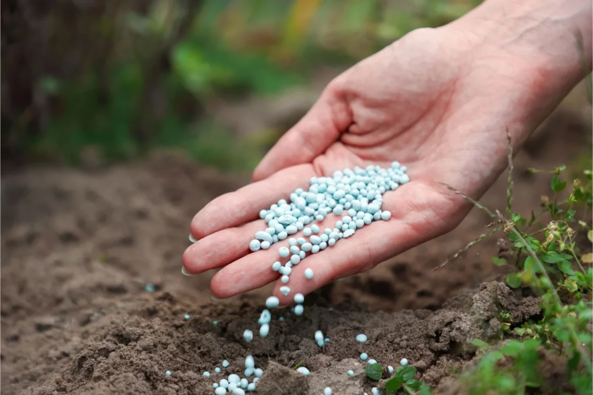 fertilizzanti
