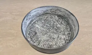 tortiera unta con olio e farina