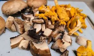 misto funghi