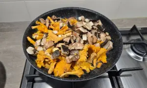 misto funghi in padella