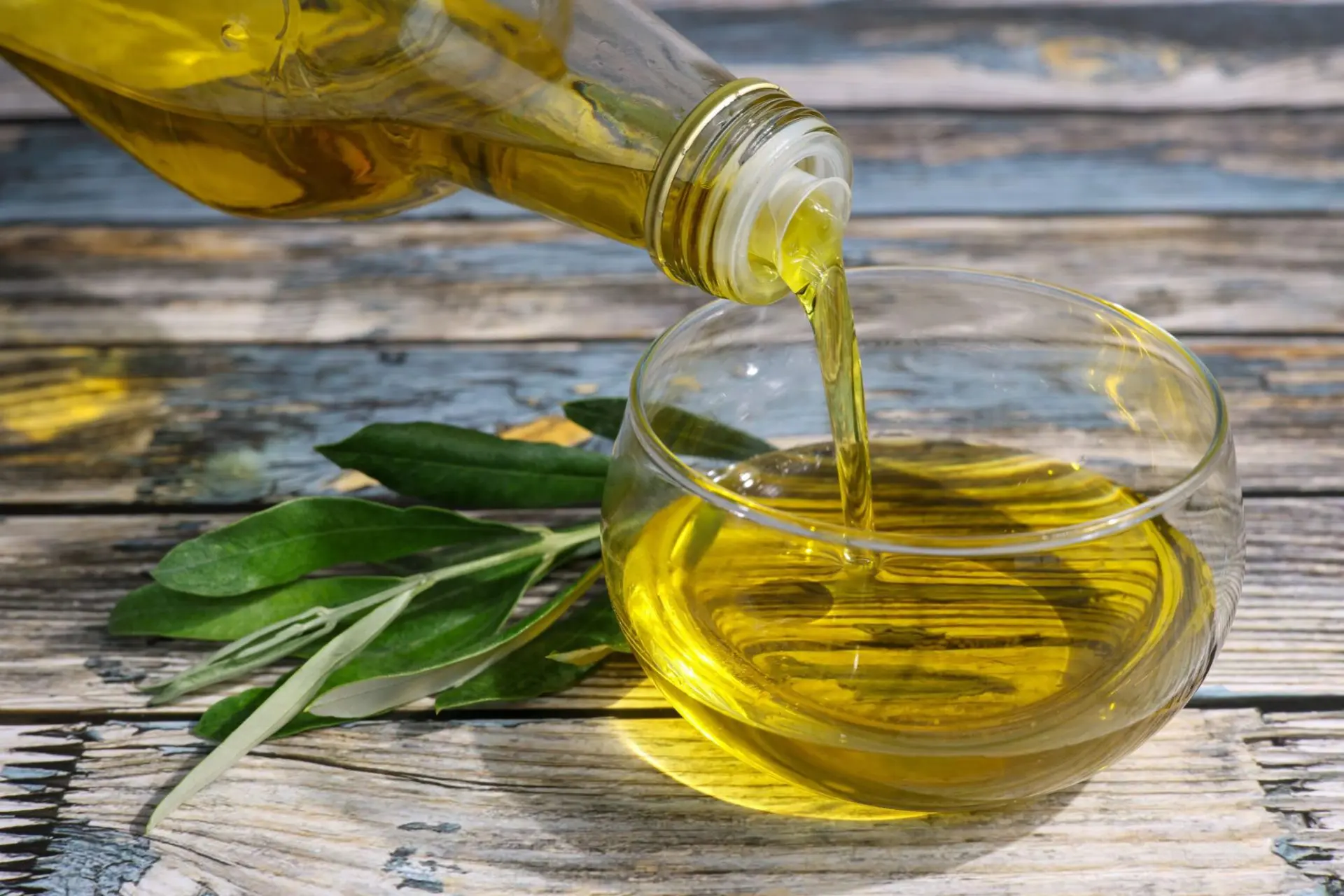 olio di oliva