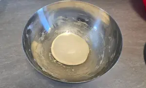 panetto di impasto liscio