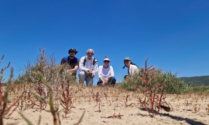 Foto scattata durante un prelievo delle Salicorne da uno dei siti naturali. Da sinistra: Dr. Alberto Vangelisti, Prof. Alberto Pardossi, Prof.ssa Antonella Castagna, Dr.ssa Irene Ventura.