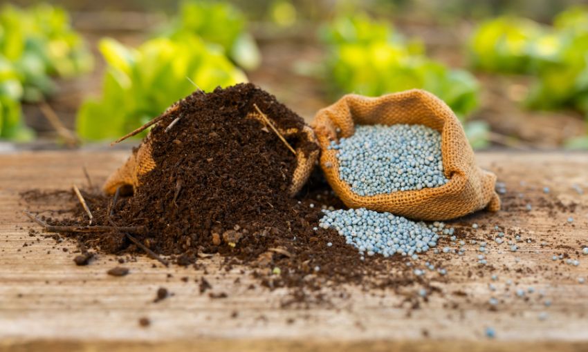 fertilizzanti