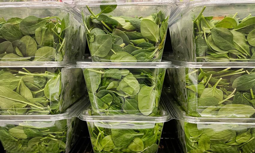 spinaci