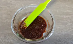 salsina