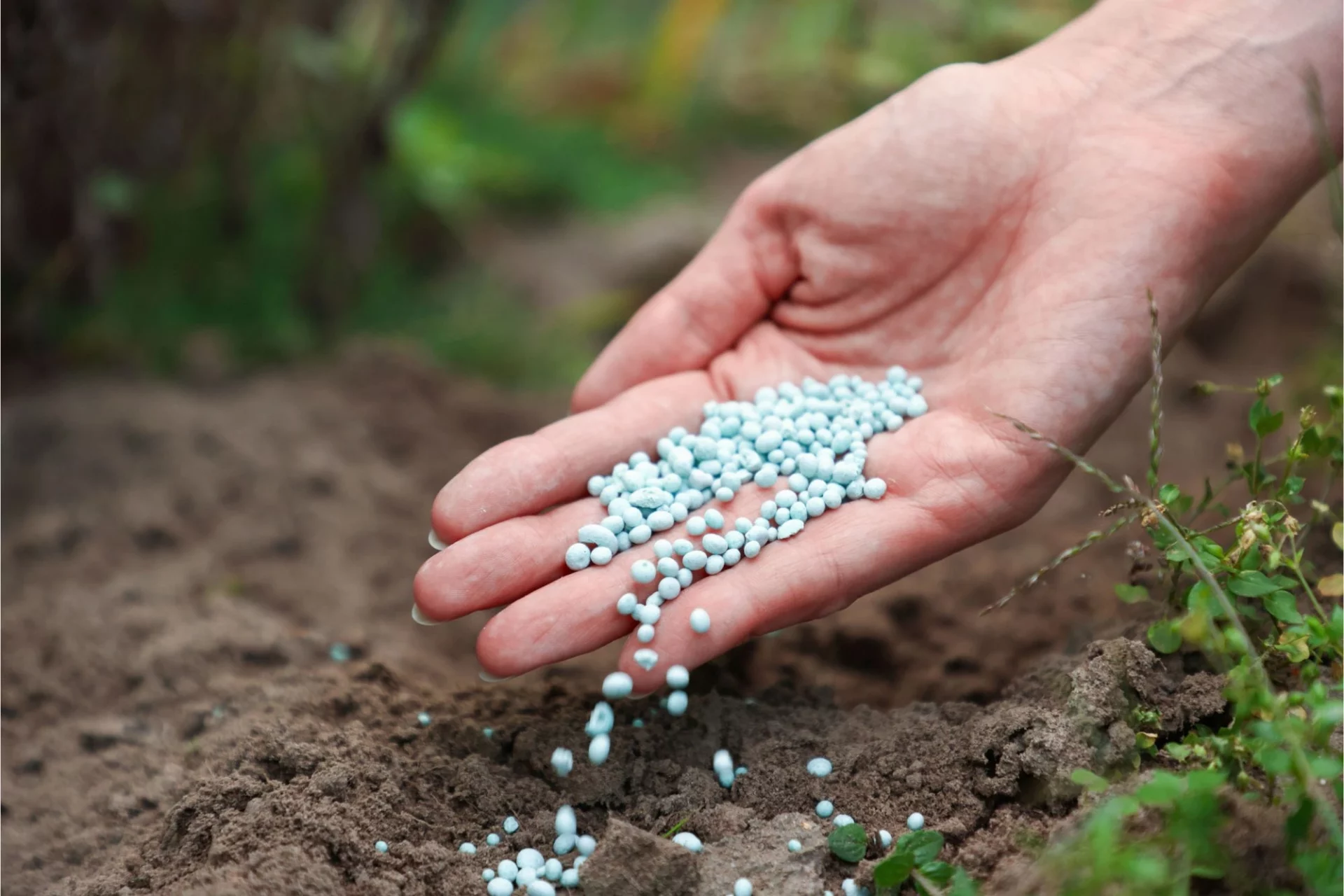 fertilizzanti